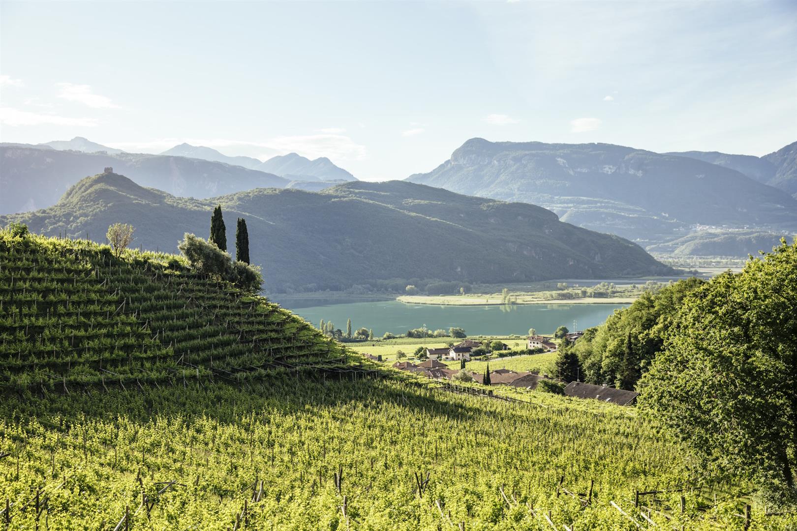 suedtirol-wein-c-benjamin-pfitscher-260976